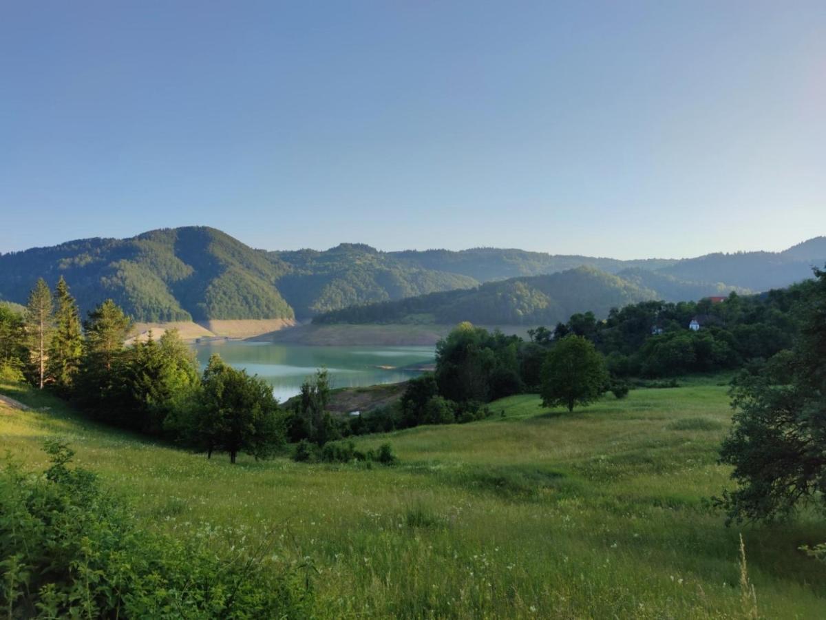 Zaovinska Panorama I Leilighet Bajina Basta Eksteriør bilde