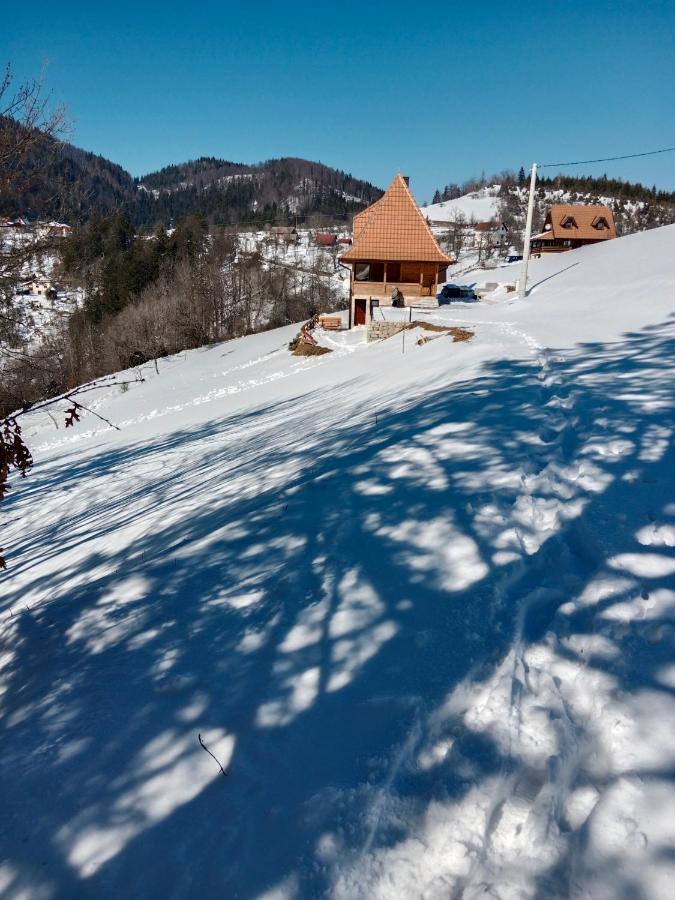 Zaovinska Panorama I Leilighet Bajina Basta Eksteriør bilde