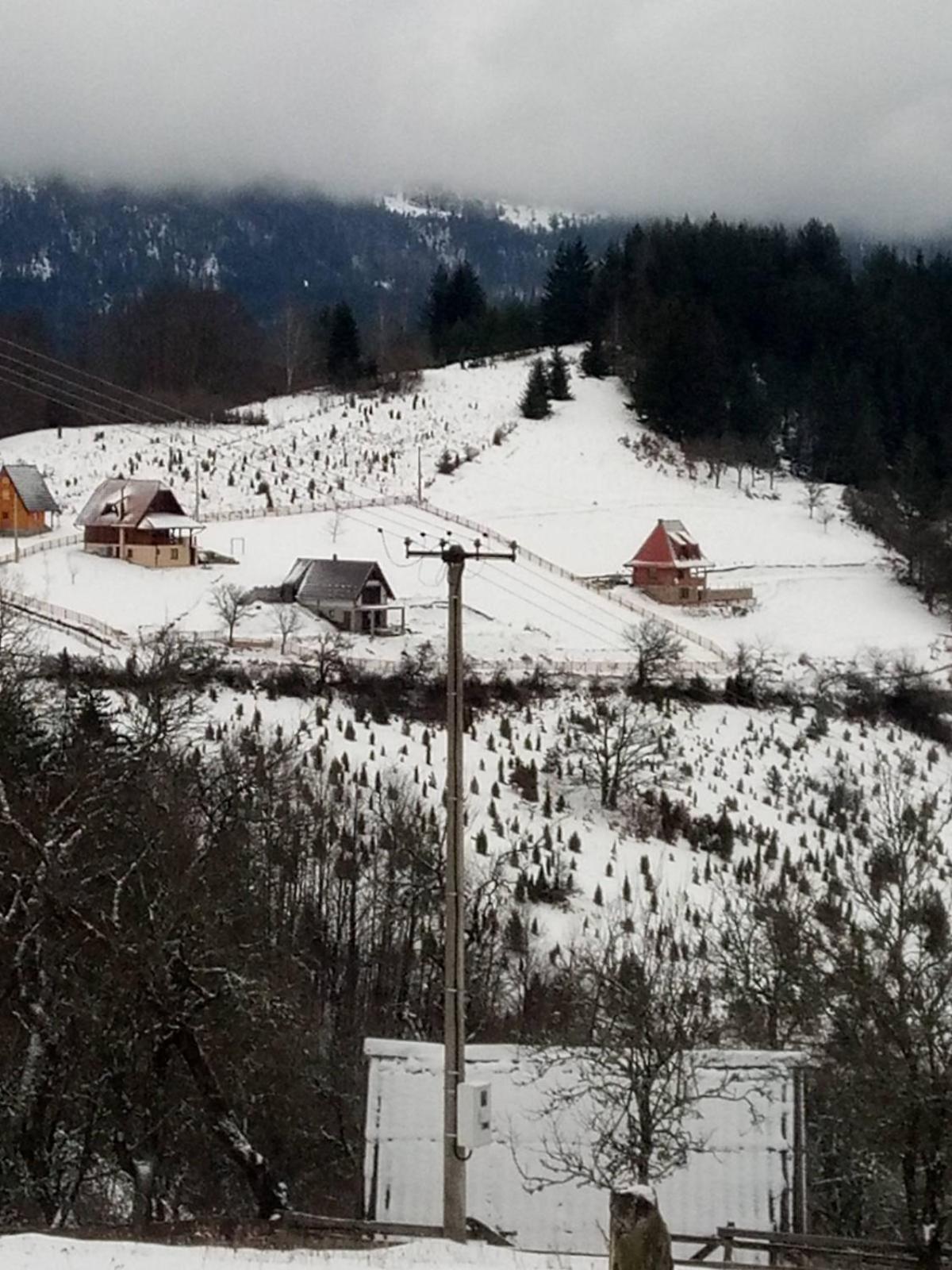 Zaovinska Panorama I Leilighet Bajina Basta Eksteriør bilde