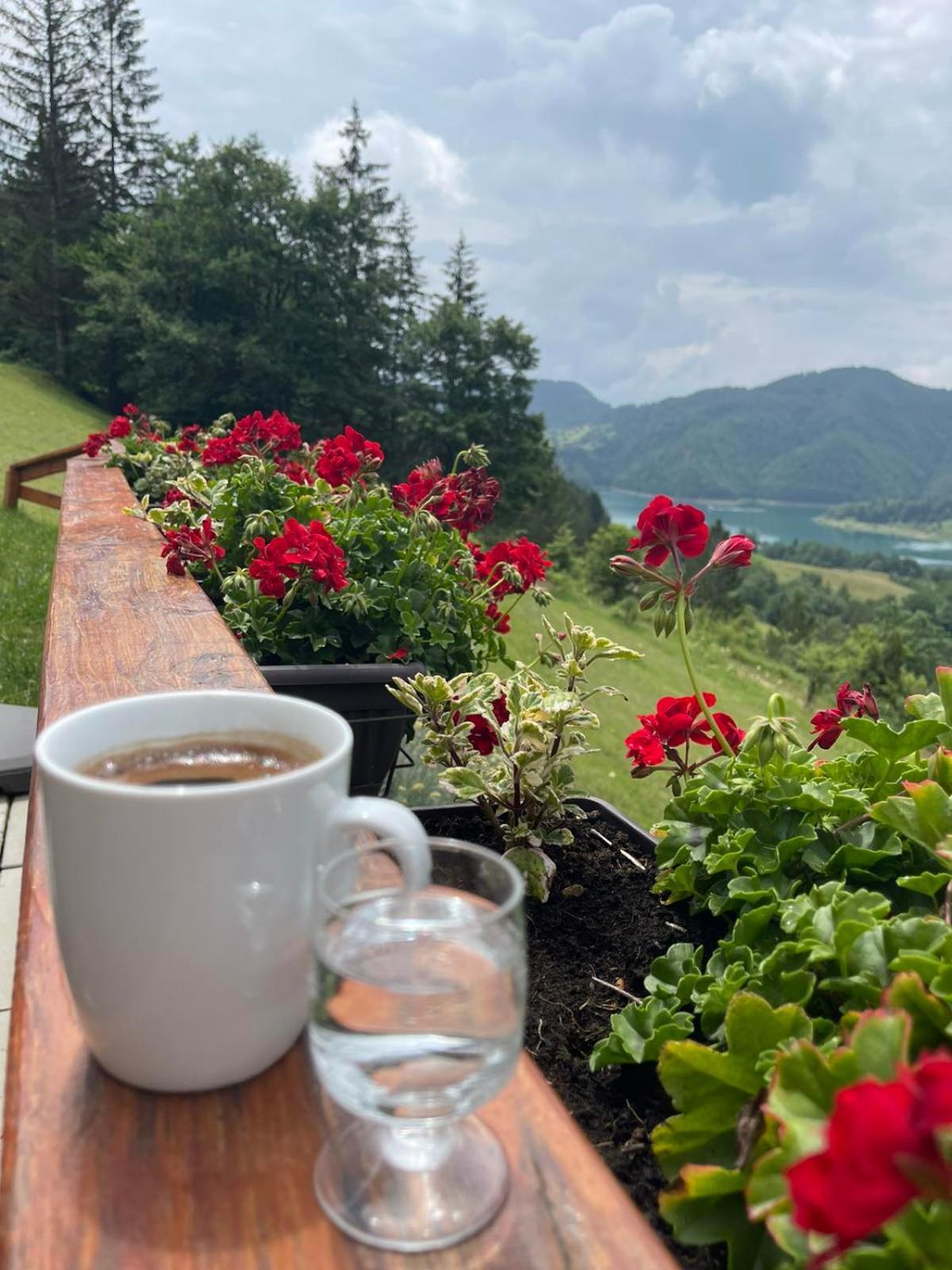 Zaovinska Panorama I Leilighet Bajina Basta Rom bilde